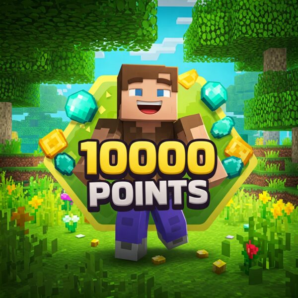 بسته 10000 عددی پوینت