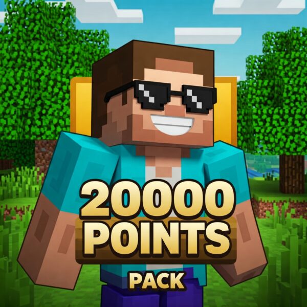 بسته 20000 عددی پوینت