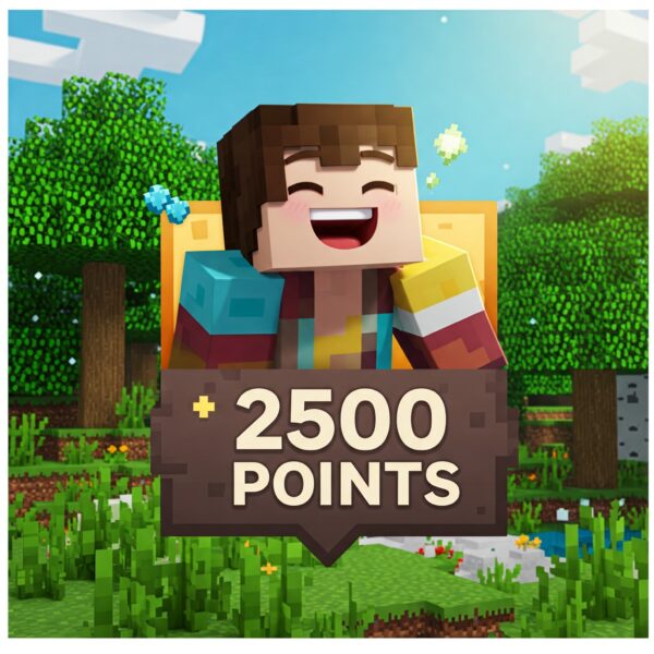 بسته 2500 عددی پوینت