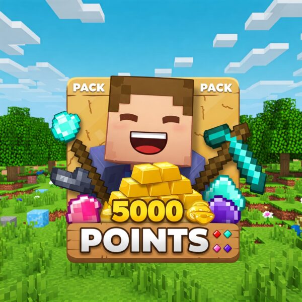 بسته 5000 عددی پوینت